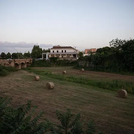 Filo Capua