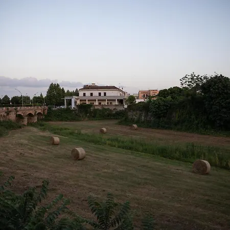 Apartment Filo Capua